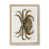 Oak Framed is unavailable
