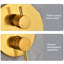 Conception de douche en or Eminemment