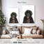 Bébé singe Brampt-108479066