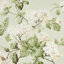 Celadon
