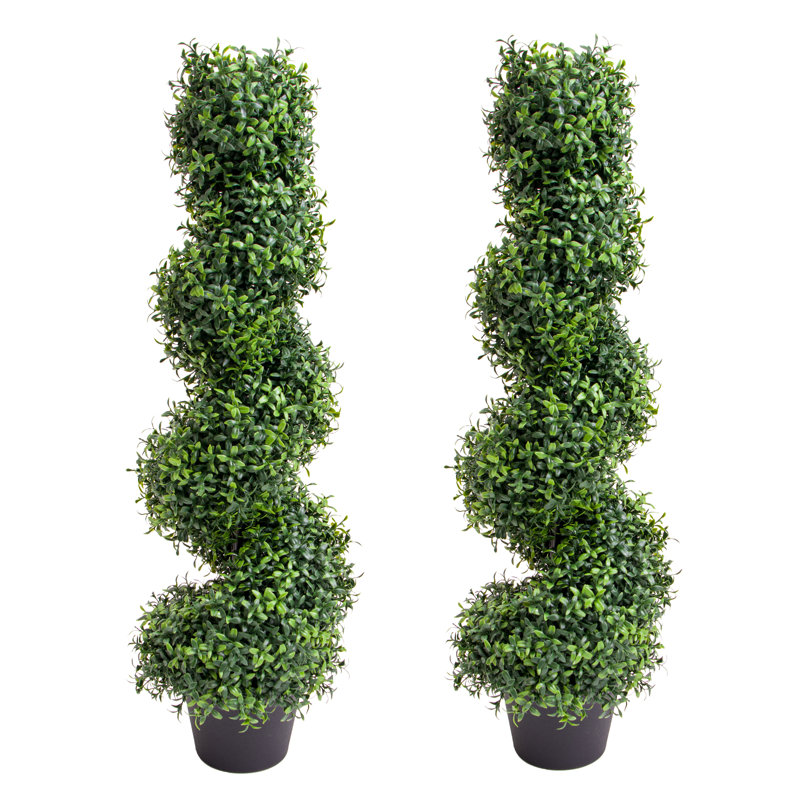 90cm Plant