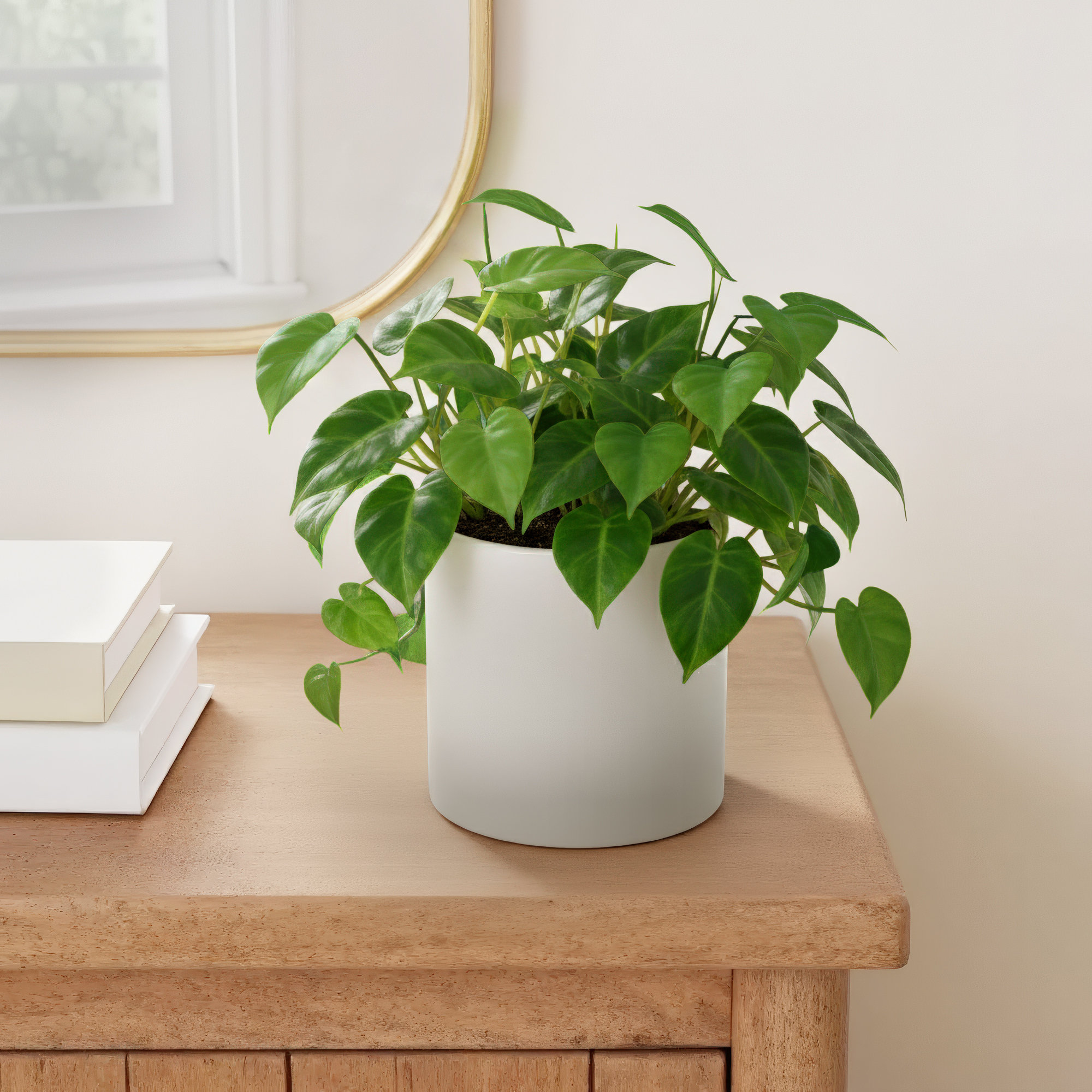 Handmade Ceramic Pot Planter, 4.25" H x 4.25" W x 4.25" D, Matte White