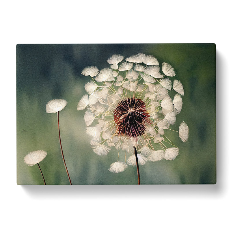 Fascinating Dandelion Flowers - Wrapped Canvas, 40cm H x 60cm W x 3cm D