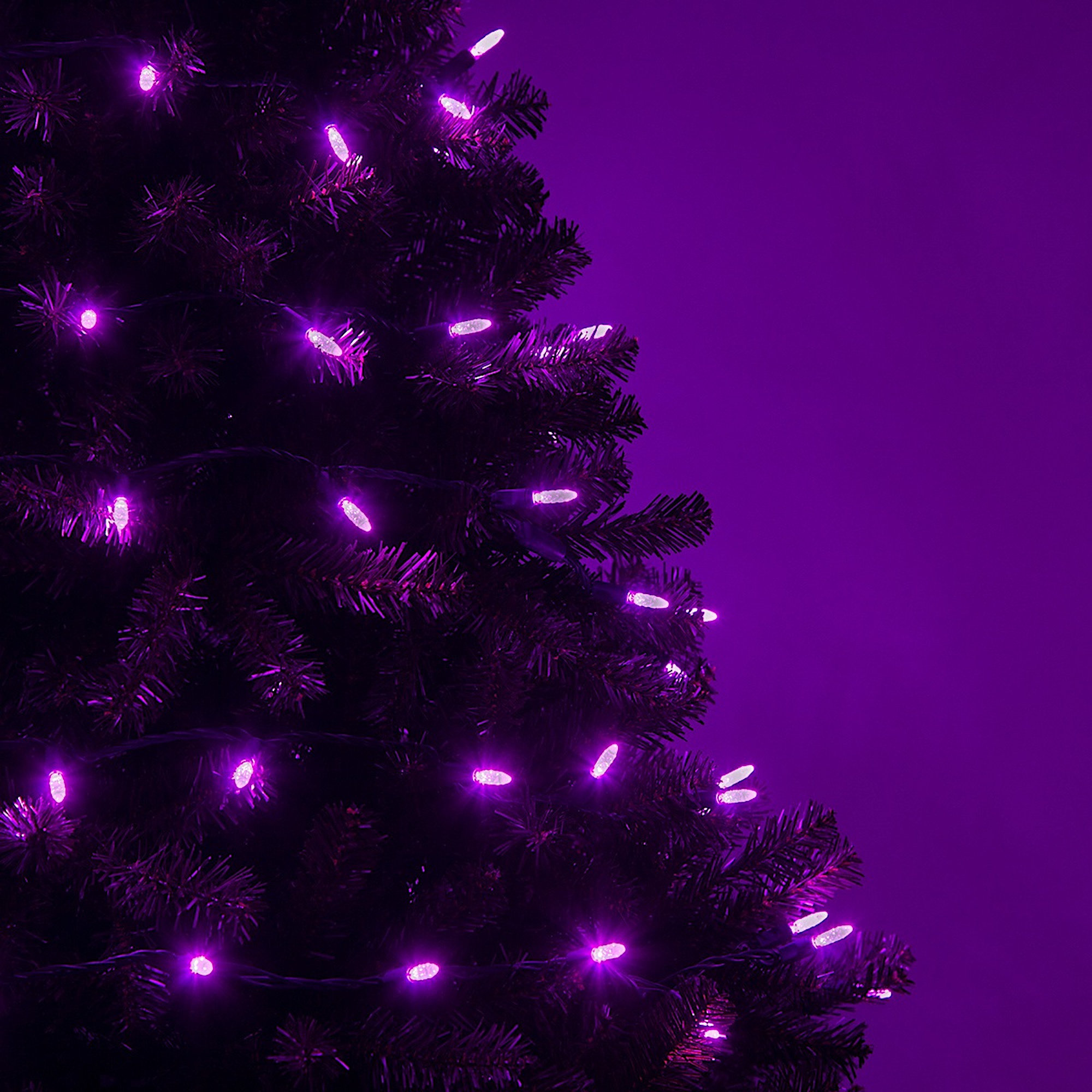 288'' LED String Lights, Purple