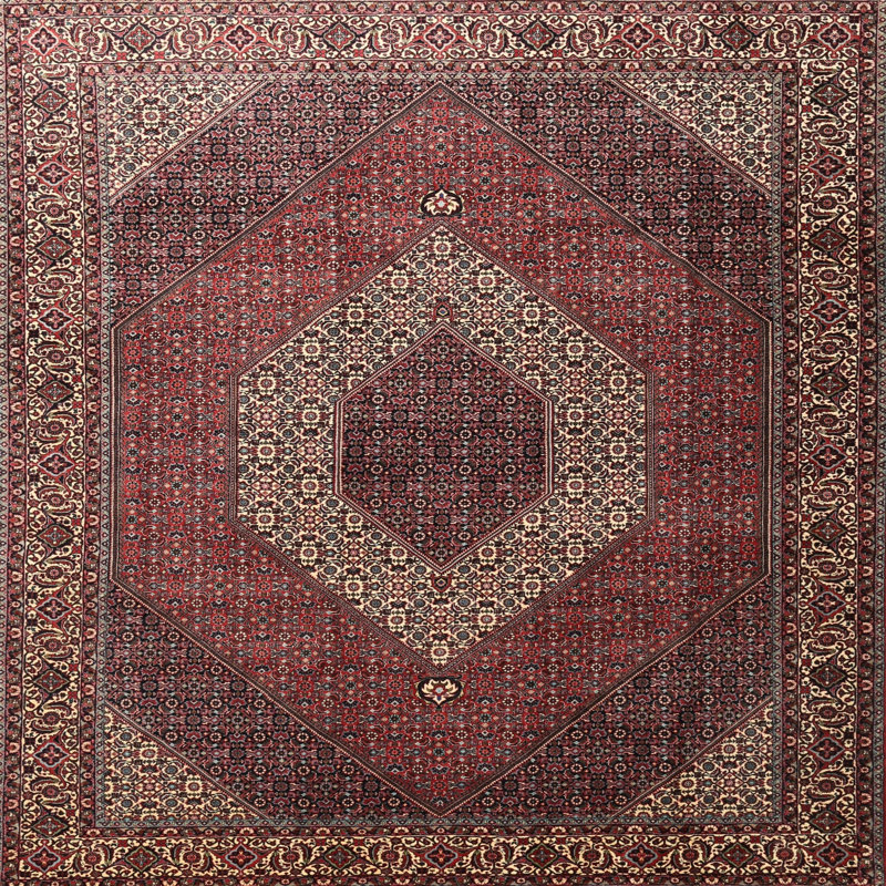 Akbar Oriental Indoor Rug, Square 8'