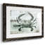 Neutre crabe I - impression d'un seul cadre photo-698427103-698427102
