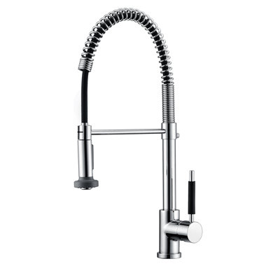 New Spec Inc Davetion Kitchen Faucet
