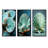 Green Clam Ocean Treasures-1737389362-1737389360