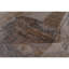 Abstract Area Rug-2081090888