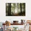 Impression sur toile Forest Forest-103316379