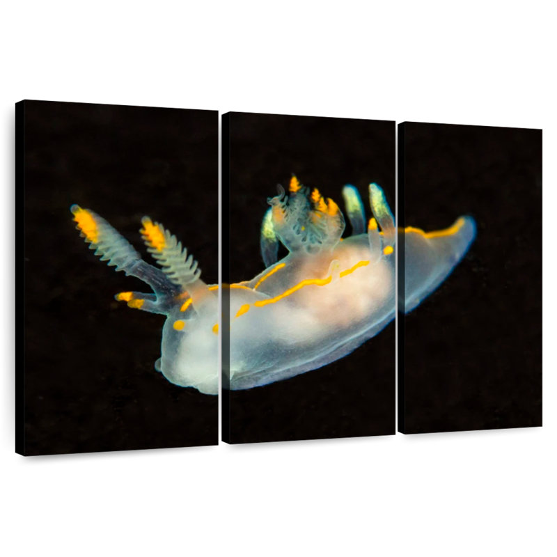 Sea Slug In Dark Waters, 32" H x 50" W