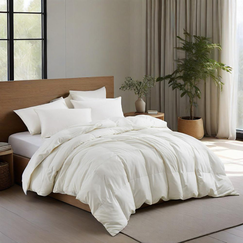 Édredon toutes saisons en duvet d'oie et en duvet de plumes, Simple, Blanc