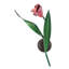 Tulip 1 - Light Wallchiere