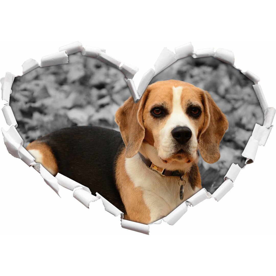 Wandtattoo Kleiner Beagle spielt im Laub