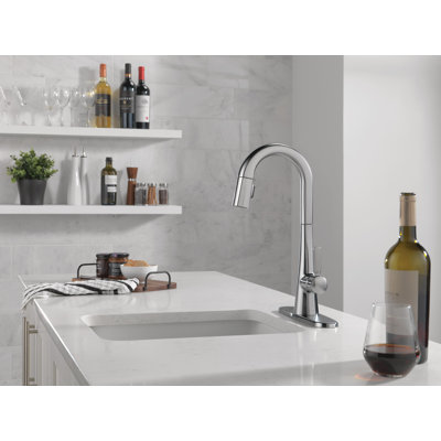 Robinet de bar avec douchette extractible Monrovia