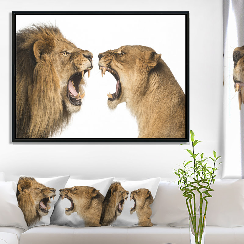 «Lion and Lioness Roaring», photographie encadrée sur toile, H 12 po x l 20 po x P 1 po