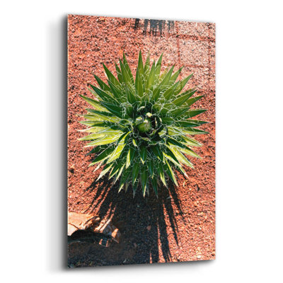 Epic Art 'Utah - Cactus 2' By Epic Portfolio, Acrylic Glass Wall Art, 16"X24"