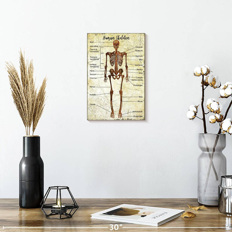 Tableau des squelettes humains Keiri, H 12 po x l 8 po