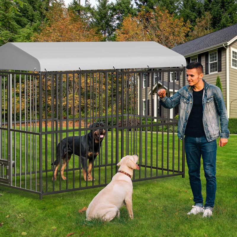 Grand chenil extérieur pour chien, cage pour chien robuste 4 x 4 x 6 pi, H 70,87 po x l 47,24 po x P 94,49 po