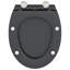 Anthracite Plastic Standard Adjustable Armrests Toilet Seat-1215608310