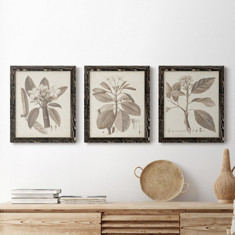 Ensemble de 3 cadres photo sur toile Midnight Tulip V, H 24 po x l 36 po x P 1,5 po, Noir