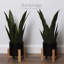 Fausse plante à plantes en pot 16 po Bornbridge-88345765