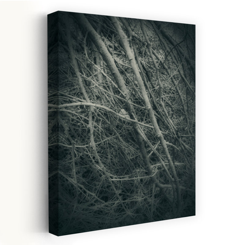 Contemporary Art Classic Gothic Organic Forest Nature Wall Art by Angelo Cerantola - Wrapped Canvas Print