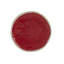 Watermelon Earthenware Salad/Dessert Plate