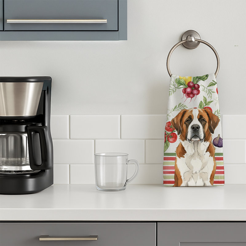 Torchon brun et blanc Saint Bernard, Brown/White Saint Bernard