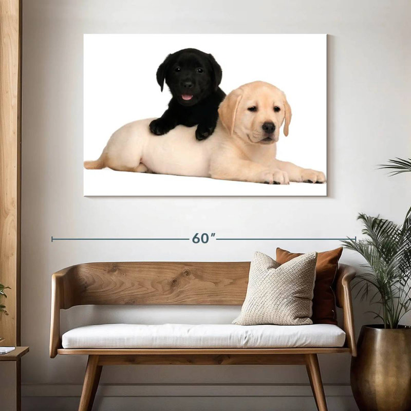 Yellow And Black Lab, 32" H x 48" W