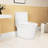 One White Ceramic Toilet, 1.1/1.6 Flush, Comfort Height, Soft Close Seat, And Flush One, 15.55 In White, &