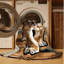  Tapis lavable en forme de lion de Californie-1203354420