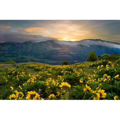 Spring Wildflowers by Kevinjmills - Wrapped Canvas Print