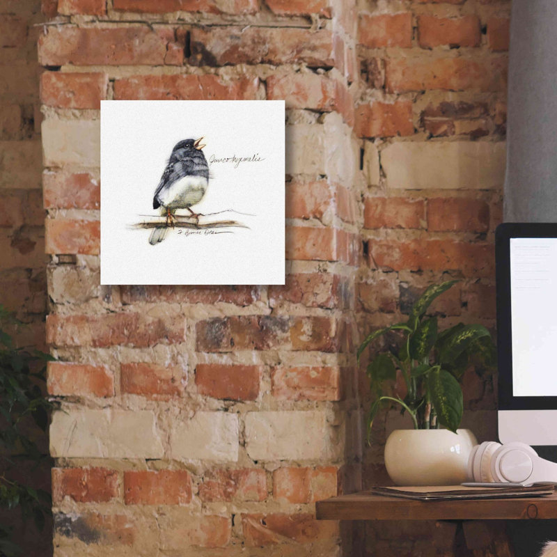 «Songbird Study VI» par Bruce Dean, estampe numérique sur toile, H 12 po x l 12 po x P 0,75 po