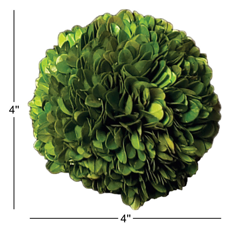 Nigel 4'' Boxwood Topiary