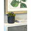 Multi Colored Sedum in Black Planter-1606536661-1606536660