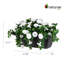 Boîte à fleurs artificielle blanche Petunia