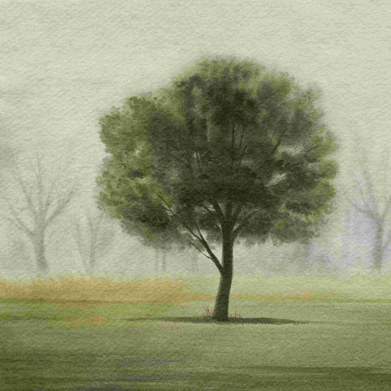 Awakening Tree II - impression sur toile tendue, H 12 po x l 12 po