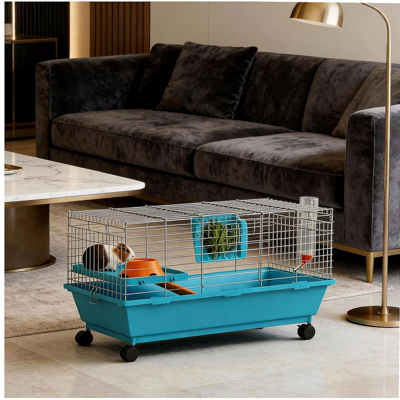 Cage à lapin mobile, cage pour petits animaux