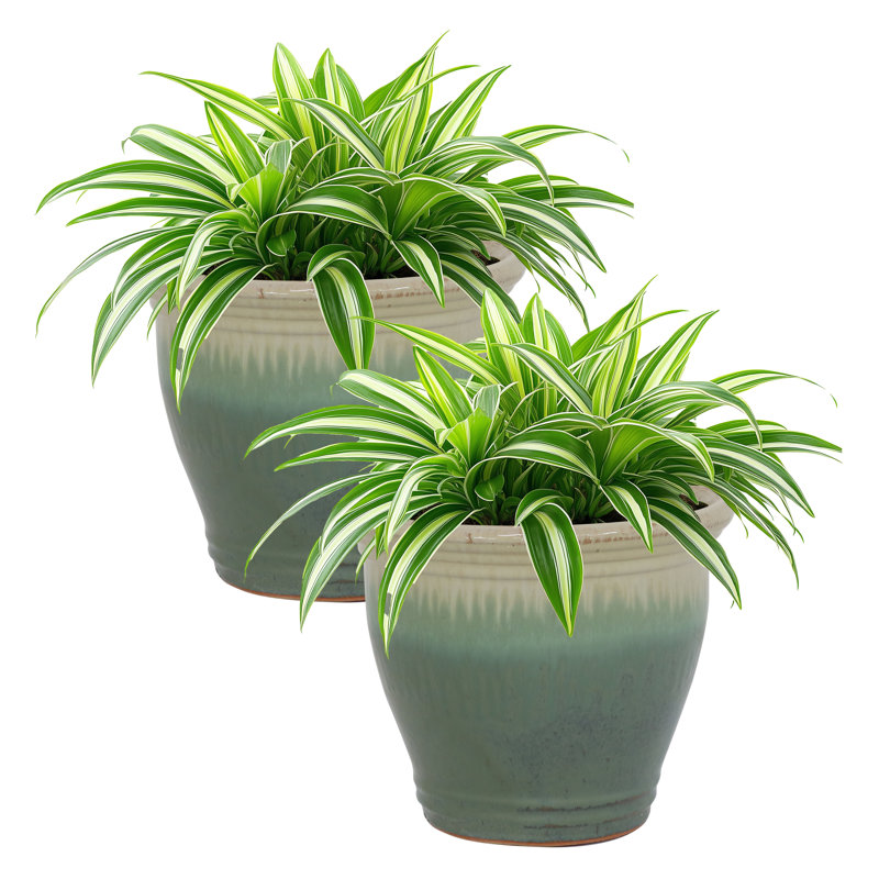 Pot à fleurs extérieur rond en céramique Ailynn, H 10 po x l 12 po x P 12 po, Écume de mer