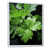 Cadre flottant blanc