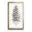 Feather Fancy II - Reproduction d'art graphique sur papier encadré-907645195-907645194