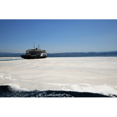 Hartline Sea Saliva Mucilage by Guven Polat - Wrapped Canvas Print