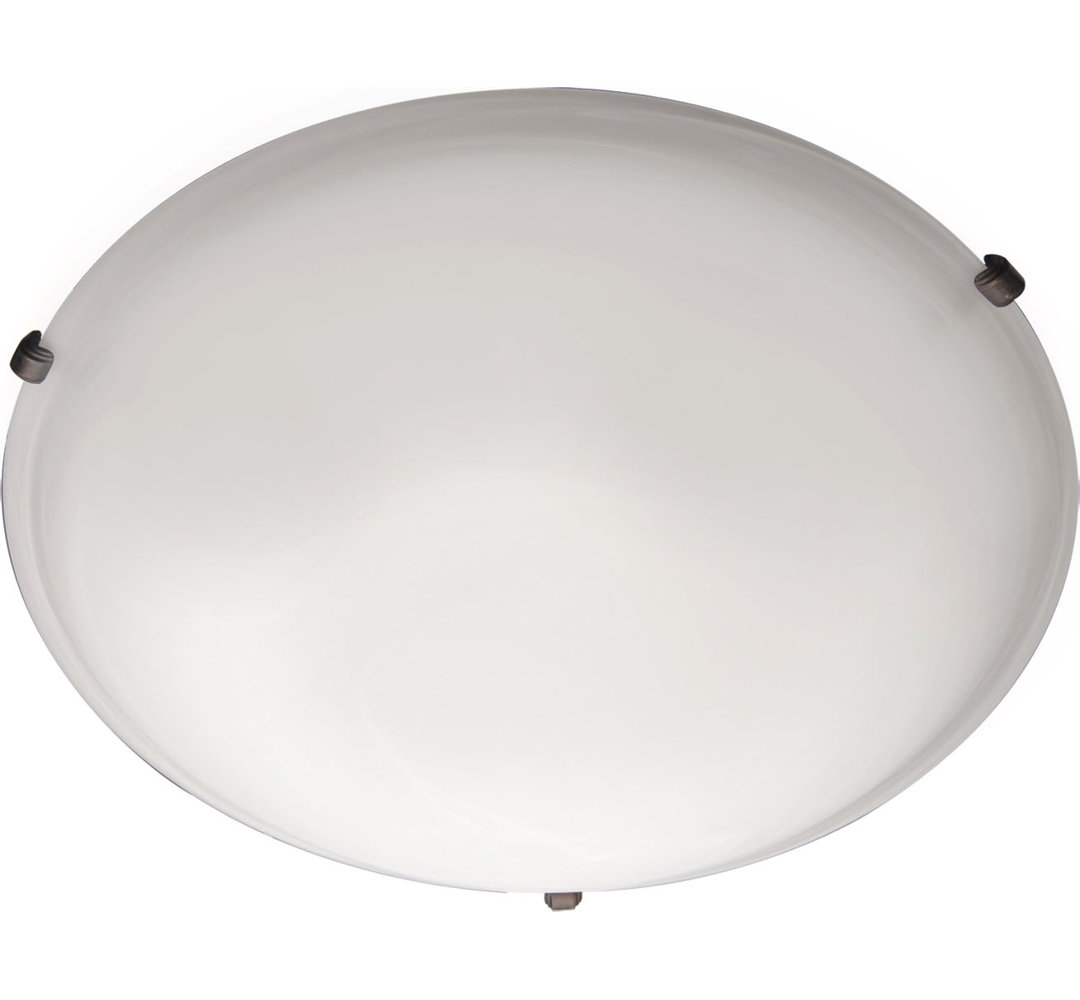 Gaiana 4-Light 20" Flush Mount Wade Logan® Shade 