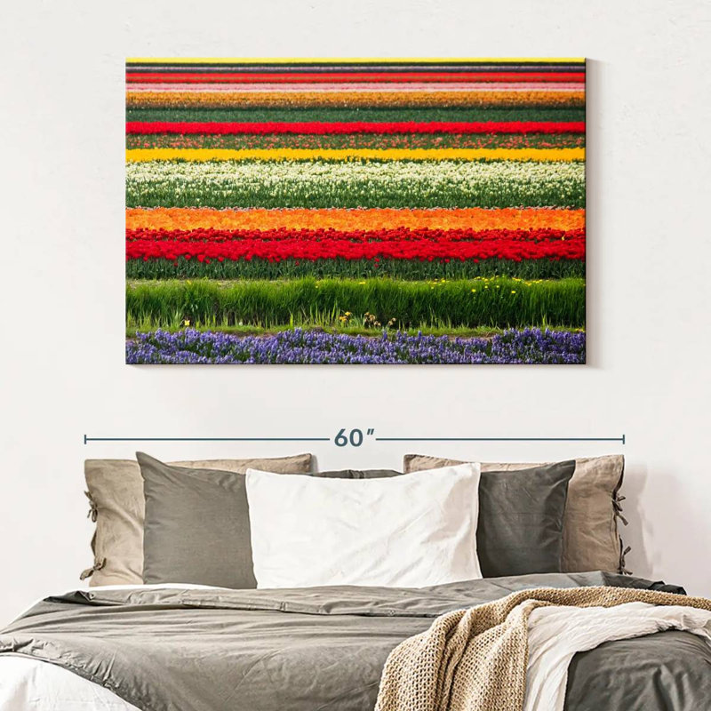 Rorry Bollenstreek Tulips, 34" H x 51" W