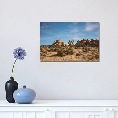 Joshua Tree National Park XXIII par Bethany Young - reproduction de photo sur toile tendue