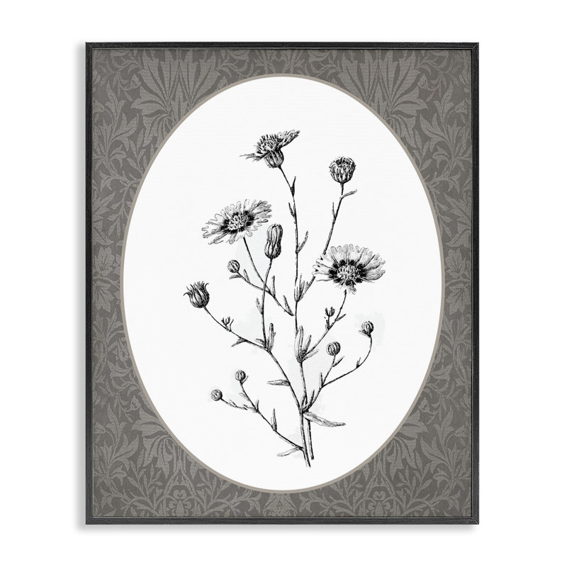 Paquet de marguerites sauvages, estampe numérique encadrée, Giclée encadrée noir minuit, H 14 po x l 11 po