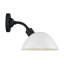 Luminaire de grange d'extérieur à 1 ampoule-918541674-929829379-918545191