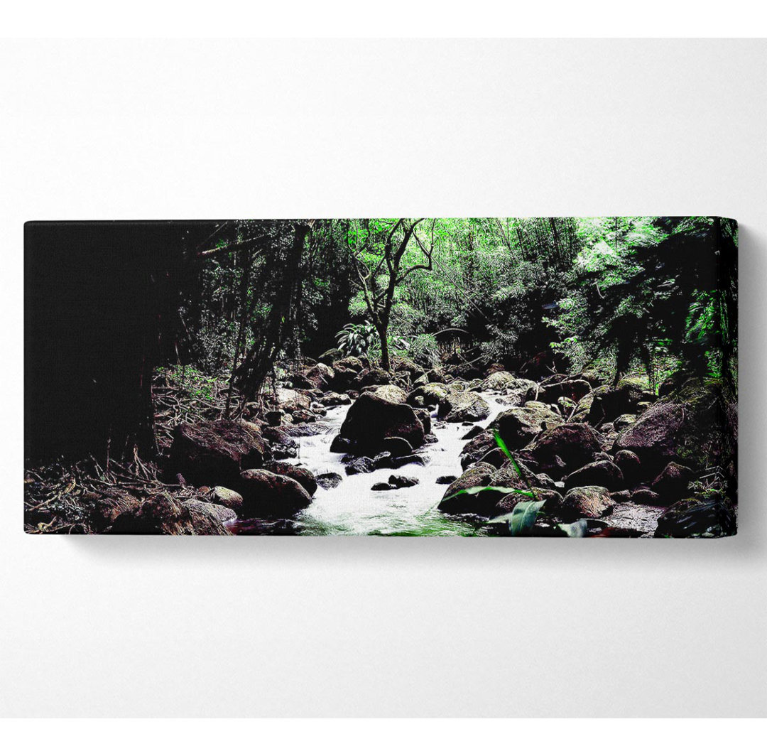 Rainforest Creek - Panorama-Kunstdrucke auf Leinwand gerollt