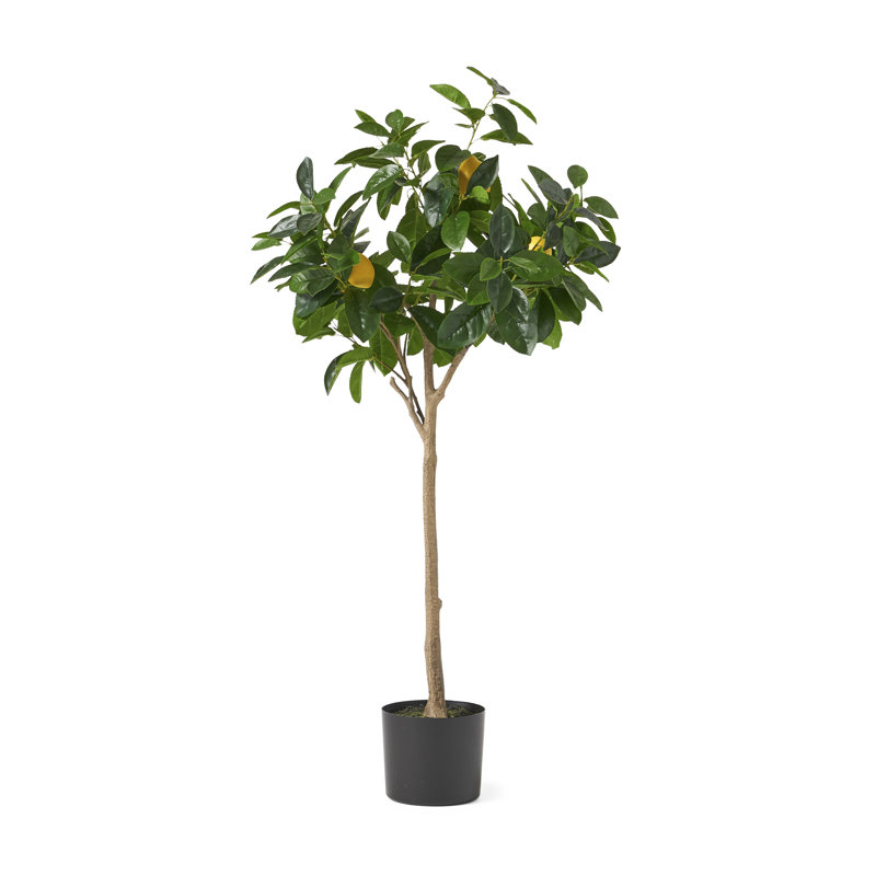 59'' Faux Lemon Tree Tree, 47" H x 25" W x 25" D